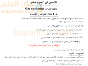 شرح مفصل لدرس تبادل الغازات في الانسان لمادة الاحياء للصف العاشر الفصل الدراسي الاول