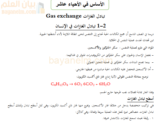 شرح مفصل لدرس تبادل الغازات في الانسان لمادة الاحياء للصف العاشر الفصل الدراسي الاول