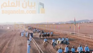 محافظة الظاهرة .. علاقة قديمة بالخيل العربية الأصيلة