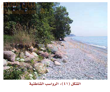 الرواسب الشاطئية