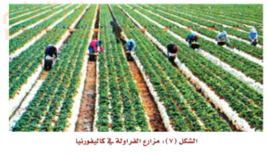 الزراعة في الولايات المتحدة الامريكية