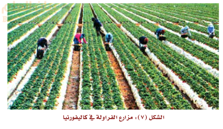 الزراعة في الولايات المتحدة الامريكية