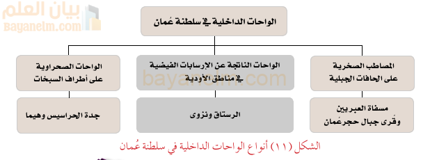 انواع الواحات الداخلية في سلطنة عمان