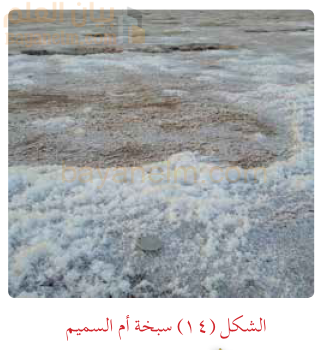 سبخة ام السميم