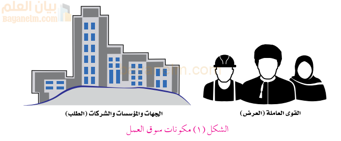 مكونات سوق العمل من القوى العاملة (العرض) والجهات والنؤسسات والشركات (الطلب)