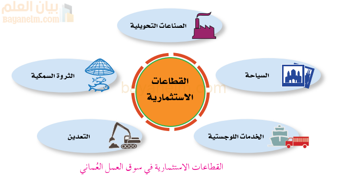 القطاعات الاستثمارية في سوق العمل العماني