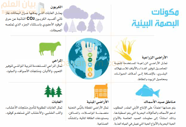 مكونات البصمة البيئية