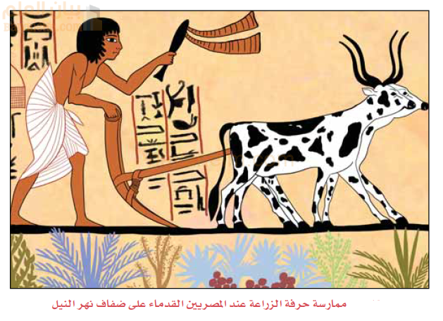 ممارسة حرفة الزراعة عند المصريين القدماء على ضفاف نهر النيل