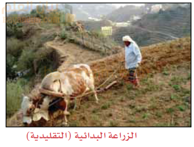 الزراعة البدائية (التقليدية)