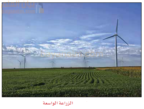 الزراعة الواسعة