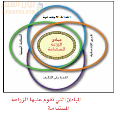 المباديء التي تقوم عليها الزراعة المستدامة