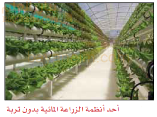 احد انظمة الزراعة المائية بدون تربة