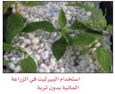 استخدام البيرليت في الزراعة المائية بدون تربة