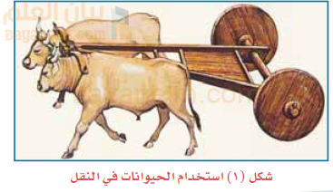 استخدام الحيوانات في النقل