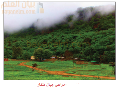مراعي جبال ظفار