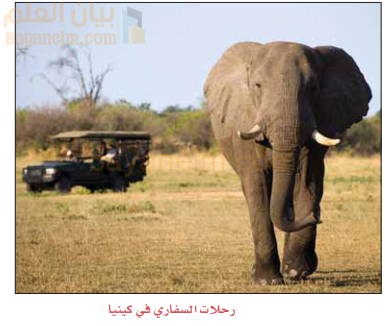 رحلات السفاري في كينيا