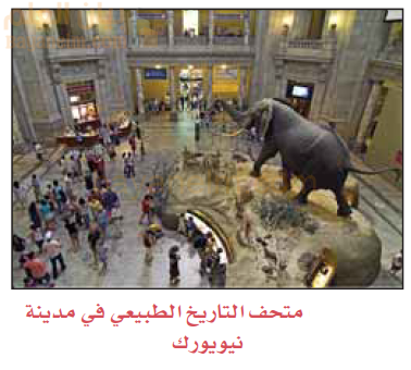 متحف التاريخ الطبيعي في مدينة نيويورك
