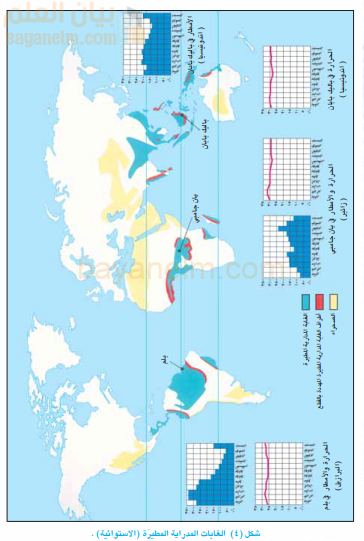 بيئة الغابات المطيرة (الاستوائية)