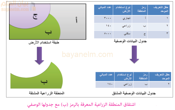 اشتقاق المنطقة الزراعية المعرفة بالرمز (ب) مع جدولها الوصفي