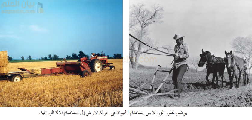 توضح الصور تطور الزراعة من استخدام الحيوان في حراثة الأرض إلى استخدام الآلة الزراعية.
