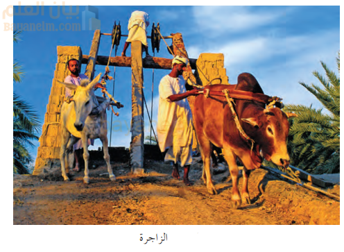 الزاجرة