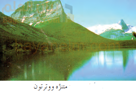 منتزه ووترون