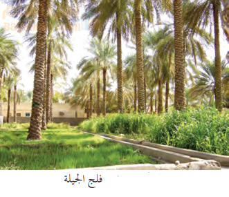 فلج الجيلة