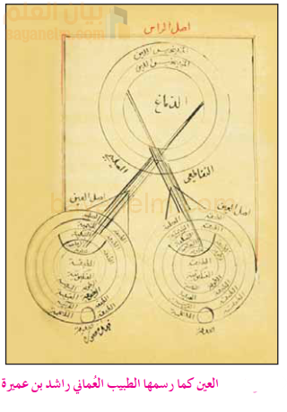 العين كما رسمها الطبيب العماني راشد بن عميرة