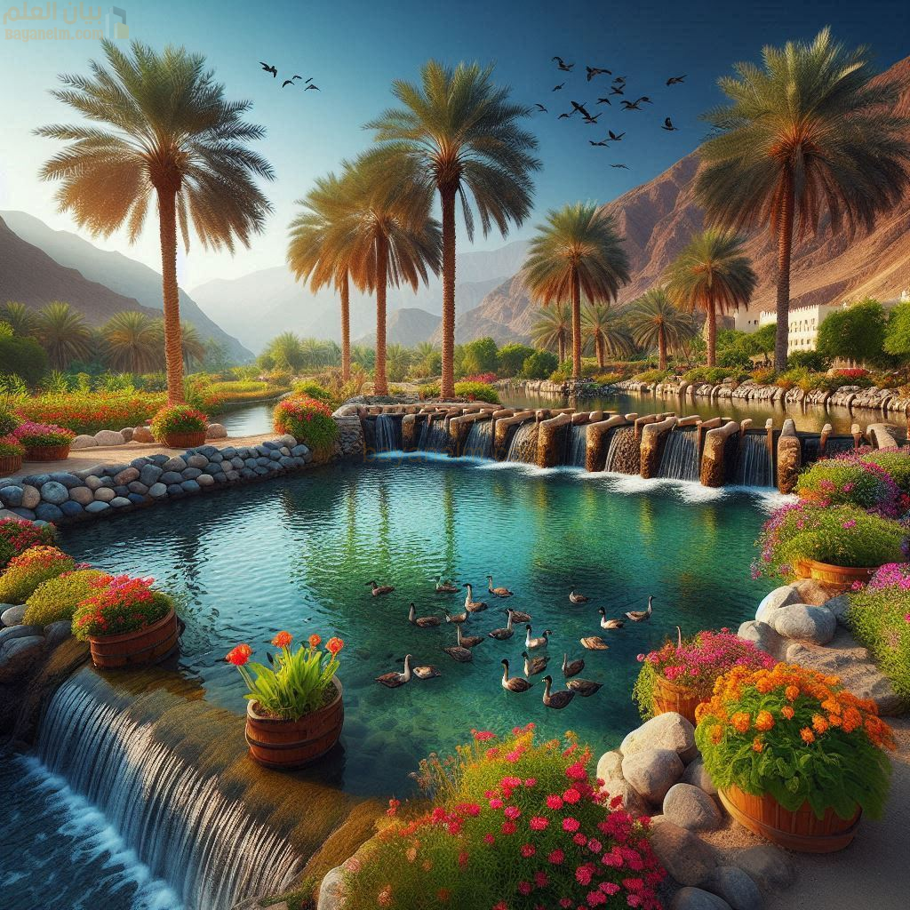 نسب قبيلة الهنائي في سلطنة عمان