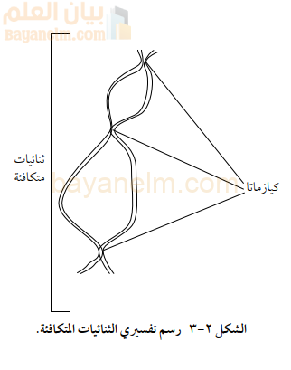 رسم تفسيري الثنائيات المتكافئة