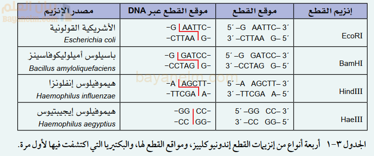 أربعة أنواع من إنزيمات القطع إندونيو كلييز، ومواقع القطع لها، والبكتيريا التي اكتشفت فيها لأول مرة