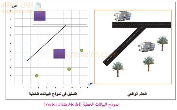 نموذج البيانات الخطية (Vector Data Model)