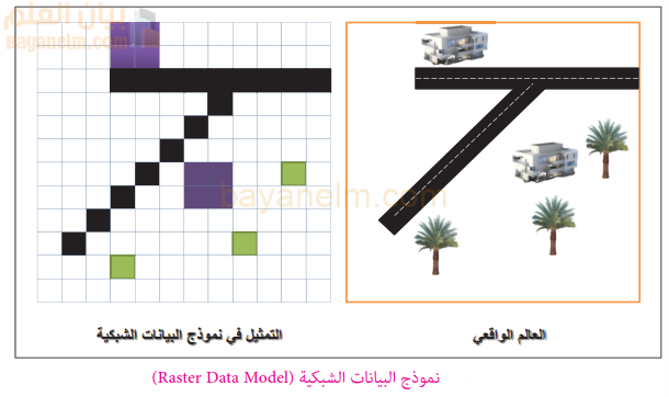 نموذج البيانات الشبكية (Raster Data Model)