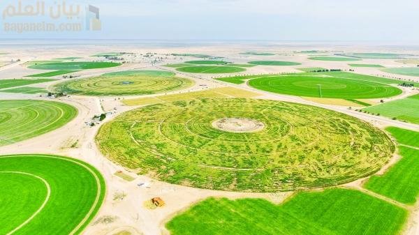 ظفار تشهد طفرة في الاستثمار بقطاعات الزراعة والثروة السمكية والثروة الحيوانية