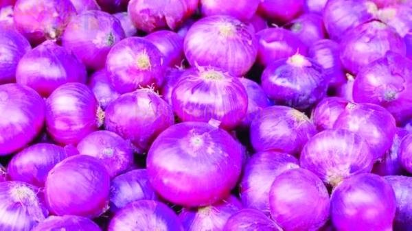 وزارة الزراعة والموارد المائية تعلن عن مشروع جديد لإنتاج البصل