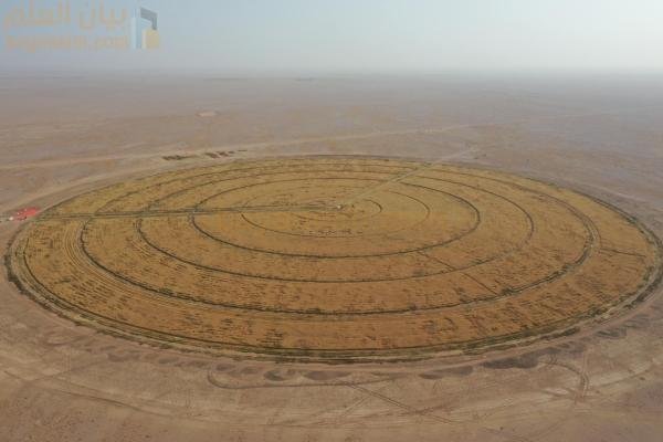 عمان تلتزم ببناء قطاع غذائي قادر على الصمود