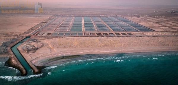 توقيع اتفاقية لدفع نمو صناعة الاستزراع المائي في سلطنة عمان
