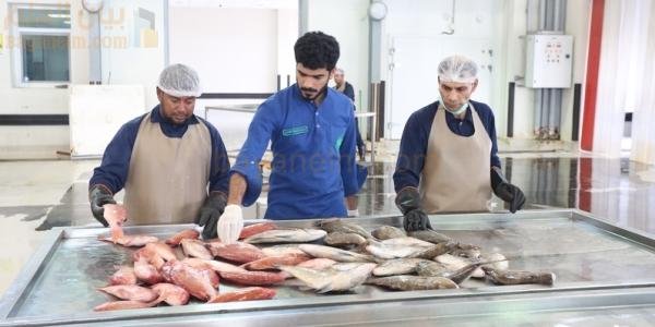 شركات عمانية تبدأ تصدير الأسماك إلى الصين