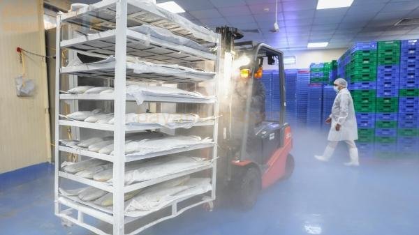 خطط للتسويق المتكامل في قطاعات الزراعة والثروة السمكية