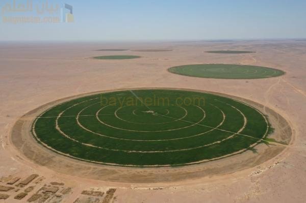 تؤكد الدراسة على ضرورة تنظيم عملية استخراج المياه الجوفية في منطقة النجد