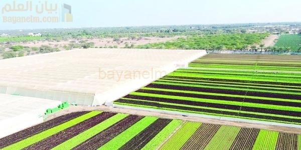 ندوة الأمن الغذائي لتسليط الضوء على التحديات والفرص