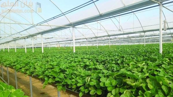 تعزز العلاقات العمانية الأذربيجانية المتنامية آفاق التجارة الثنائية