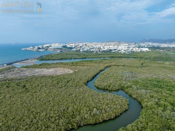 قرار جديد بإنشاء مركز عمان للحياد صفر
