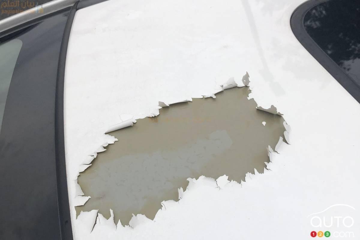 دعوى قضائية جماعية في الولايات المتحدة بسبب تقشير طلاء هوندا | أخبار السيارات