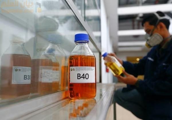 يسبب تأخير زيت النخيل الإندونيسي B40 حالة من عدم اليقين في السوق