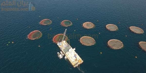 عُمان تتصدر الخليج في مؤشر مصايد الأسماك العالمي