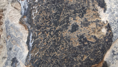 النقوش الصخرية في سلطنة عمان.. سجل تاريخي يعكس تلاقي الحضارات