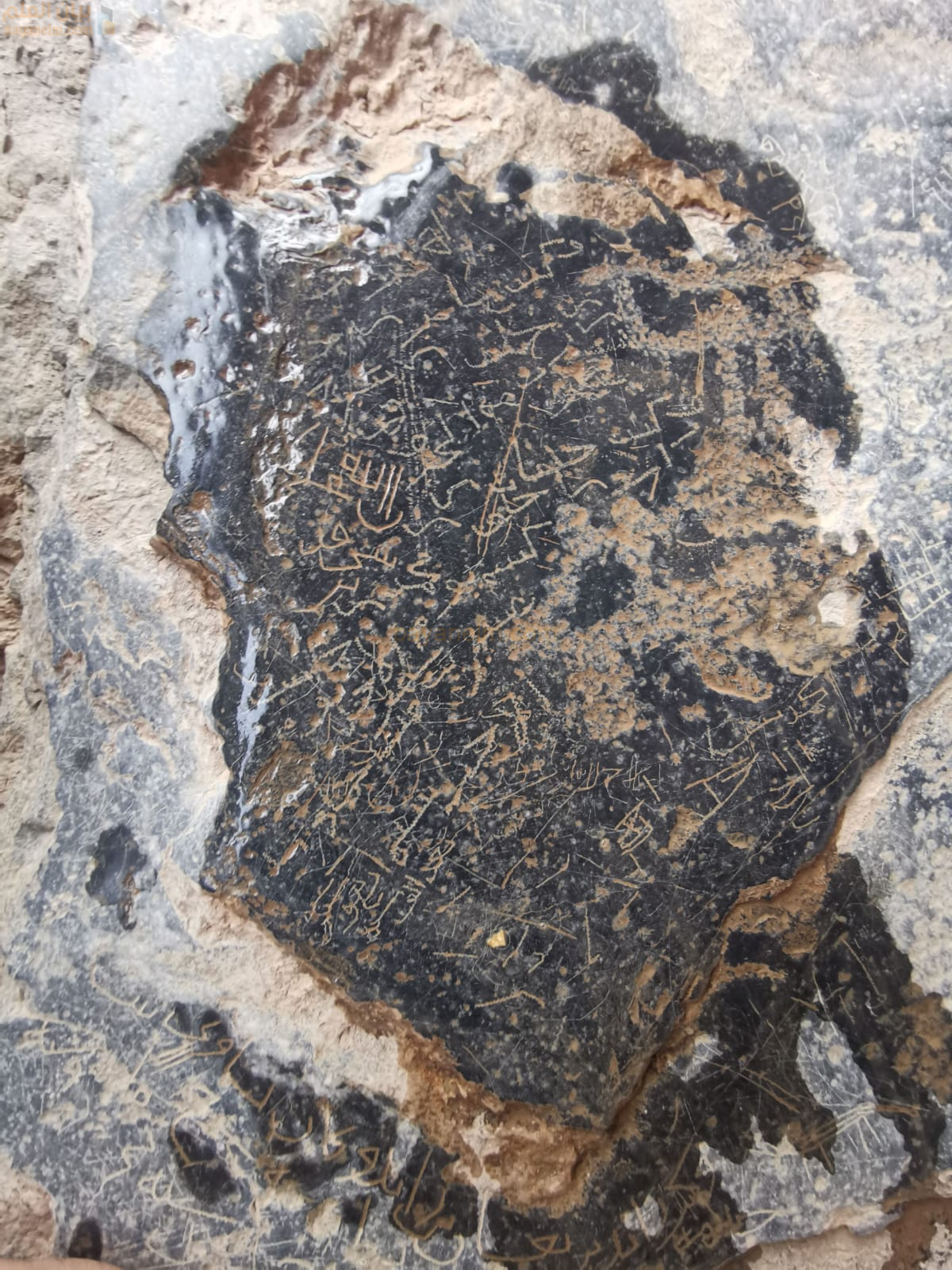 النقوش الصخرية في سلطنة عمان.. سجل تاريخي يعكس تلاقي الحضارات