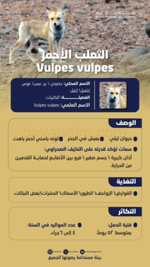 هل شاهدت الحصيني قرب منزلك؟ فما هو؟