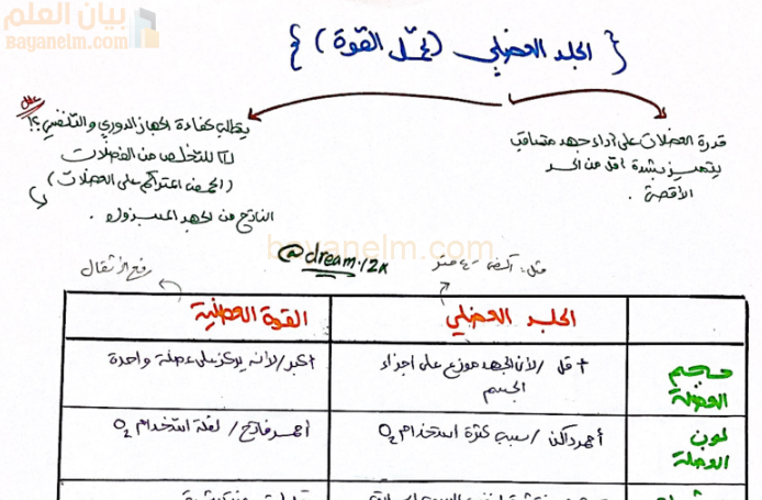 ملخص بخط اليد لمادة الرياضة المدرسية للصف الثاني عشر الفصل الدراسي الاول لمنهج سلطنة عمان